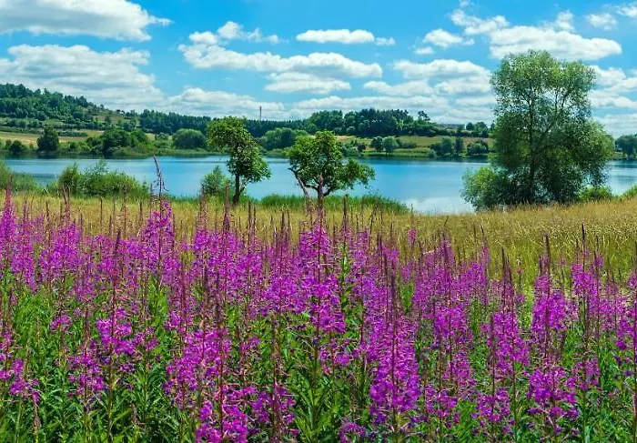 Appartement Seeblick *